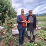 manisa-sarigolde-ibrahim-icen-ata-tohumu-domatesini-gelecek-nesillere-tasiyor-94Car6yQ