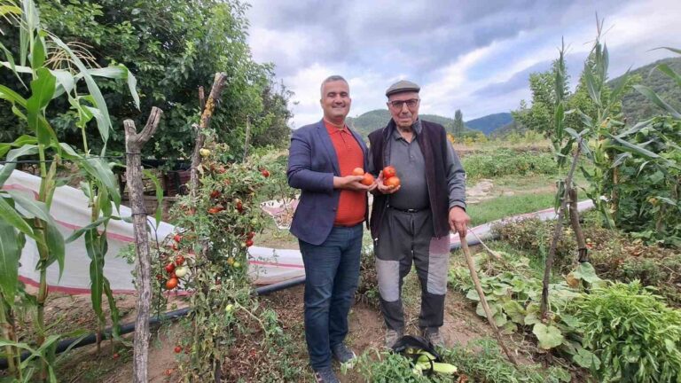 manisa-sarigolde-ibrahim-icen-ata-tohumu-domatesini-gelecek-nesillere-tasiyor-94Car6yQ