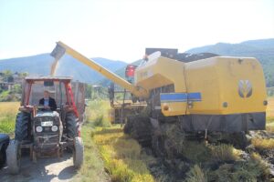 tosyada-celtik-hasadi-dolayisiyla-program-duzenlendi-WemIEGLt